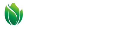 吉内得